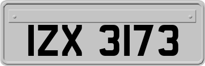 IZX3173