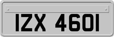 IZX4601
