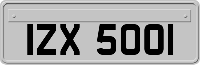 IZX5001