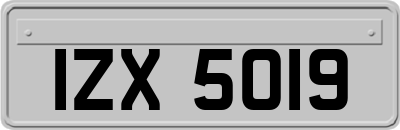 IZX5019