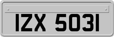 IZX5031