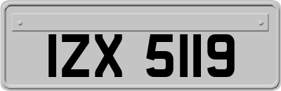 IZX5119