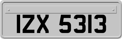 IZX5313