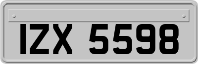 IZX5598