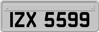 IZX5599