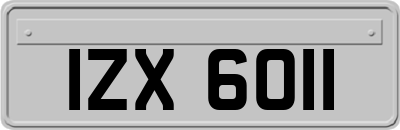 IZX6011