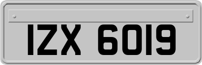 IZX6019