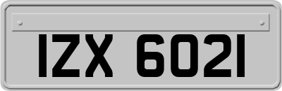 IZX6021