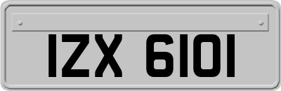 IZX6101