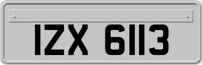 IZX6113