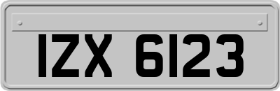 IZX6123