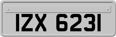 IZX6231