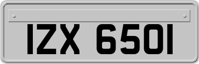 IZX6501