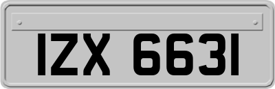 IZX6631
