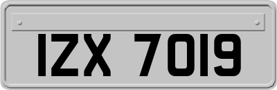 IZX7019