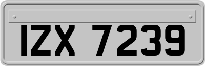 IZX7239