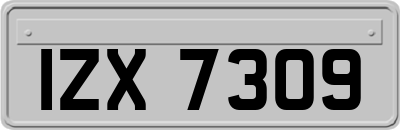 IZX7309