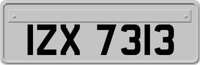 IZX7313
