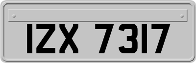IZX7317