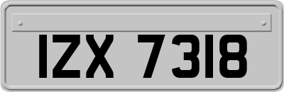 IZX7318