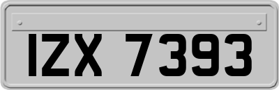 IZX7393