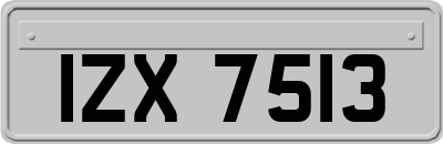 IZX7513