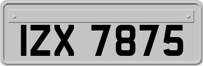 IZX7875