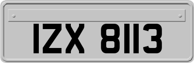 IZX8113