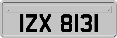 IZX8131