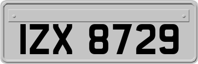 IZX8729