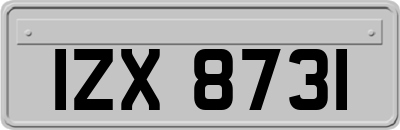 IZX8731