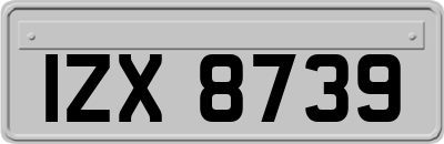 IZX8739