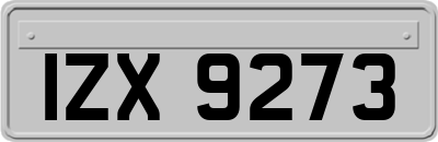 IZX9273