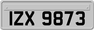 IZX9873