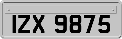 IZX9875