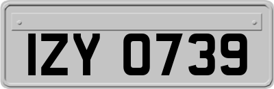 IZY0739