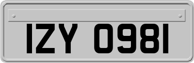 IZY0981