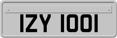 IZY1001