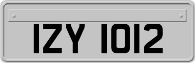 IZY1012