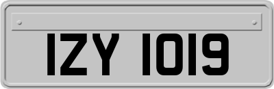 IZY1019