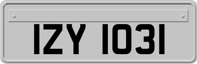 IZY1031
