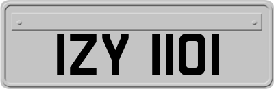 IZY1101