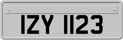 IZY1123