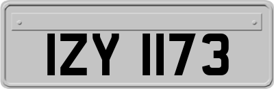 IZY1173