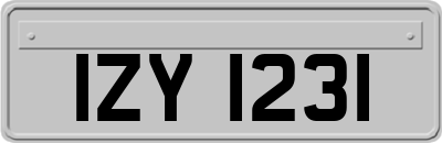 IZY1231