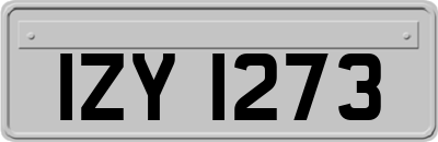IZY1273