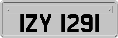 IZY1291