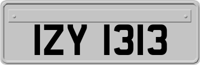 IZY1313