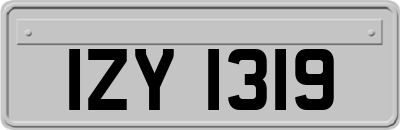 IZY1319