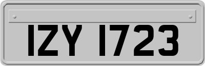 IZY1723